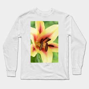 Lilium  &#39;Lavon&#39;  Lily  Oriental Trumpet lily cross  OT lily Long Sleeve T-Shirt